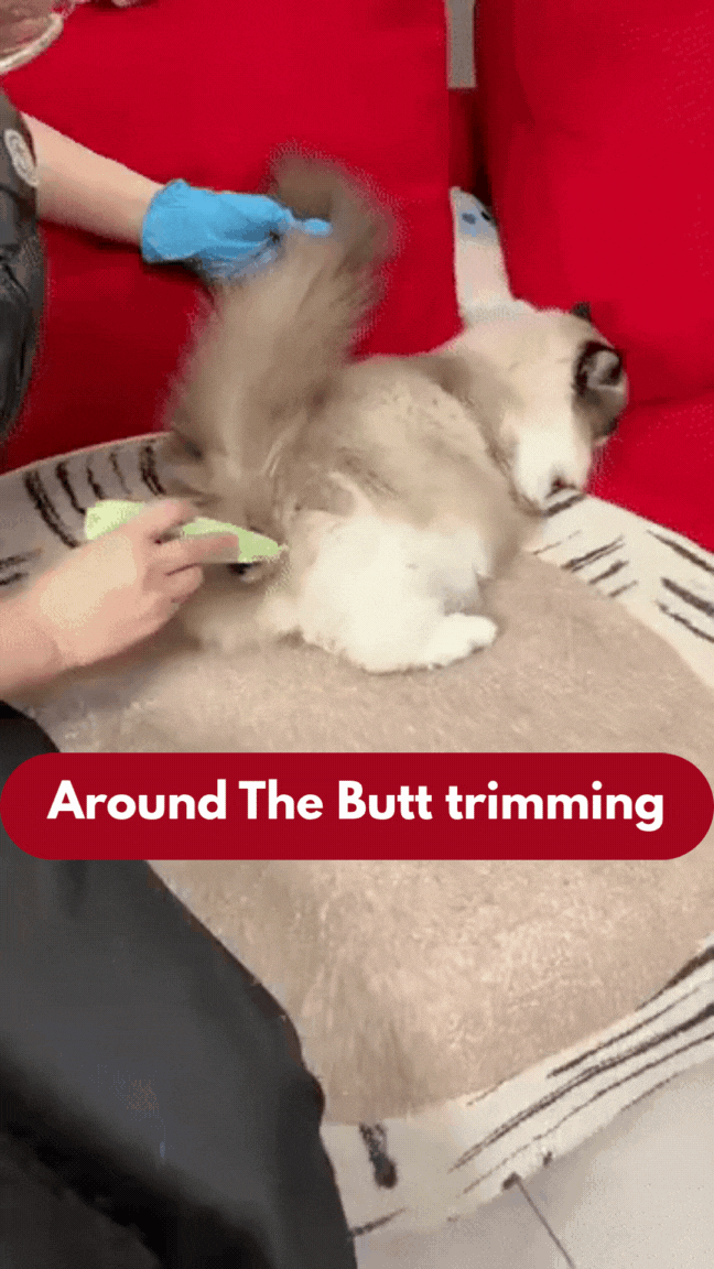 CalmTrim Rechargeable Pet Hair Trimmer